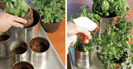 Descubra como cultivar temperos em vasos e monte sua própria horta em casa